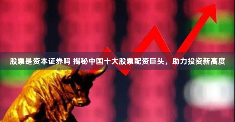 股票是资本证券吗 揭秘中国十大股票配资巨头，助力投资新高度